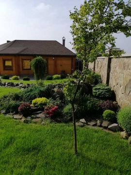 ArtDimDesign-Alpinarii-rokarii-klumby-38 ArtDimDesign-Alpinarii-rokarii-klumby-foto-38