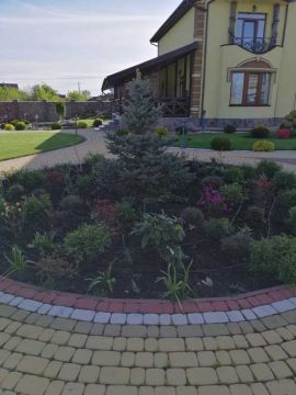 ArtDimDesign-Alpinarii-rokarii-klumby-39 ArtDimDesign-Alpinarii-rokarii-klumby-foto-39