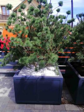 ArtDimDesign-Alpinarii-rokarii-klumby-foto-43