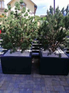 ArtDimDesign-Alpinarii-rokarii-klumby-foto-45