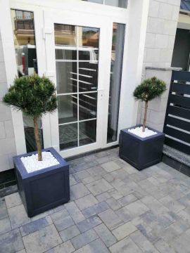 ArtDimDesign-Alpinarii-rokarii-klumby-foto-46