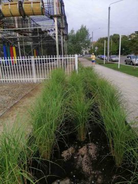 ArtDimDesign-Alpinarii-rokarii-klumby-foto-57