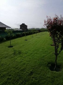 artdimdesign-formuvannya-fruktovofo-sadu-foto-10 artdimdesign-formuvannya-fruktovofo-sadu