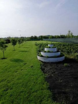 artdimdesign-formuvannya-fruktovofo-sadu-foto-11 formuvannya-fruktovofo-sadu-foto-11