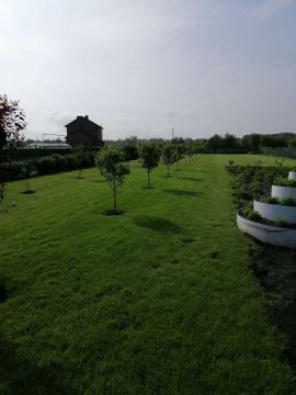 artdimdesign-formuvannya-fruktovofo-sadu-foto-12 formuvannya-fruktovofo-sadu-foto-12