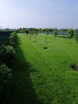 formuvannya-fruktovofo-sadu artdimdesign-formuvannya-fruktovofo-sadu