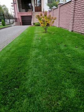 ArtDimDesign-Gazony-posivni-rulonni-41