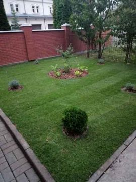 ArtDimDesign-Gazony-posivni-rulonni-42