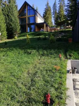 ArtDimDesign-Gazony-posivni-rulonni-50
