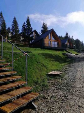 ArtDimDesign-Gazony-posivni-rulonni-57