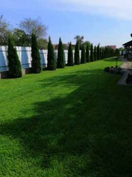 Gazony-rulonni-ArtDimDesign-27